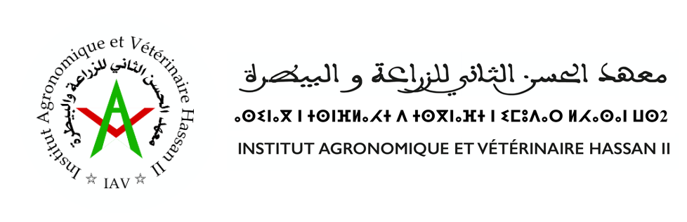 Logo IAV